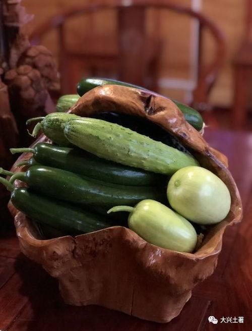 网红各类吃瓜视频网站,揭秘各大视频网站热门吃瓜内容  第2张