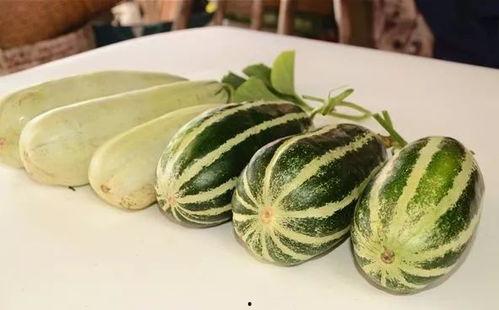 网红各类吃瓜视频网站,揭秘各大视频网站热门吃瓜内容  第3张