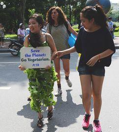 越南美女吃大瓜视频,镜头下的美食诱惑