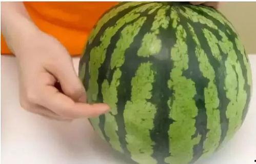 吃瓜刮皮的视频,轻松解锁美味秘诀  第2张