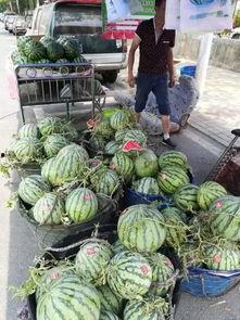 漳州龙海吃瓜事件视频播放,视频曝光引发社会关注