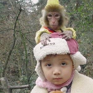 热到发紫吃瓜视频,吃瓜视频带你一探究竟