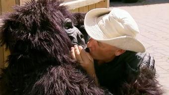 吃瓜的搞笑视频大猩猩,吃瓜视频里的欢乐“瓜农”