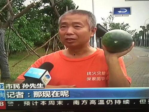 热门事件吃瓜视频网站,吃瓜群众视角下的网络视频盛宴  第3张