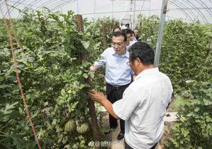 陕西杨凌吃瓜事件视频  第2张