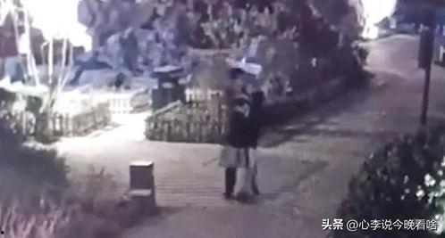 曲阜吃瓜事件视频,一场引发热议的网络视频风波  第2张