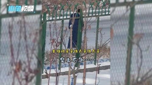 消防队的吃瓜队友视频播放,揭秘消防员日常趣味瞬间  第3张