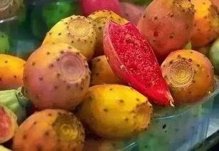 稀奇古怪吃瓜视频大全免费观看,免费畅享稀奇古怪吃瓜视频大全