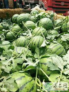 临沂沂水吃瓜事件视频